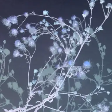 The Beauty of Death