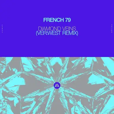 Diamond Veins (VER:WEST remix)