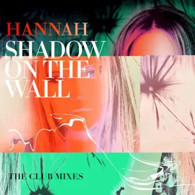 Shadow on the Wall (The club Mixes)