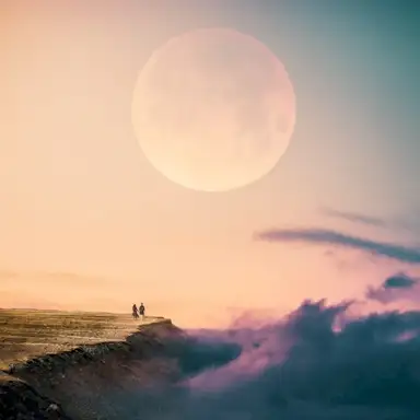 The Image of Life