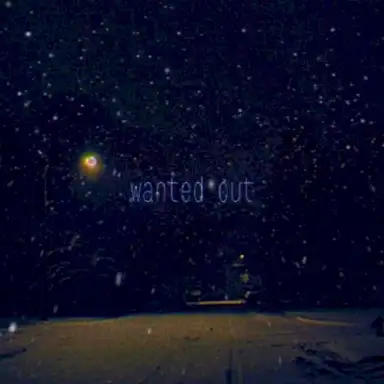 Wanted Out