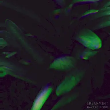 Spearmint (NUEQ Remix)