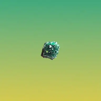 hutolipufi