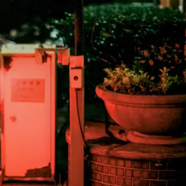 Autochromata V