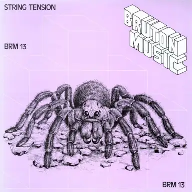 String Tension
