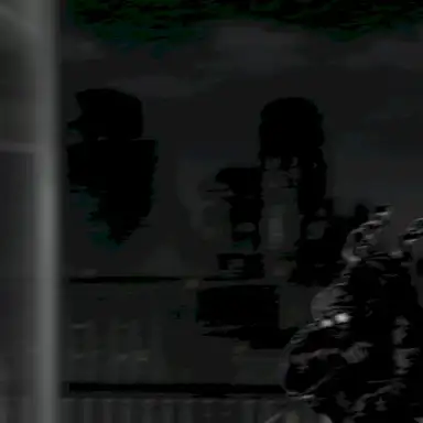 VGM.43