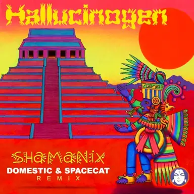 Shamanix (Domestic & Space Cat remix)