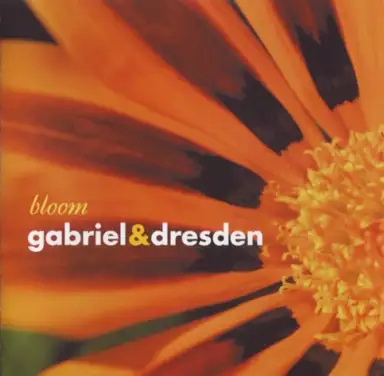 Bloom