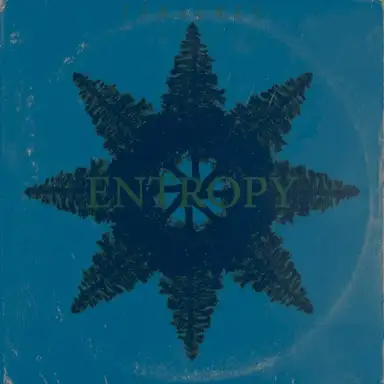Entropy