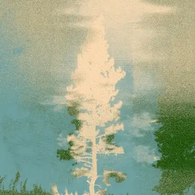 Burnt Ash