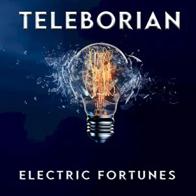Electric Fortunes