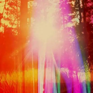 The Last Bright Place