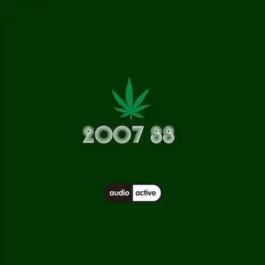 2007 88
