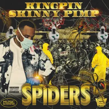 Spiders