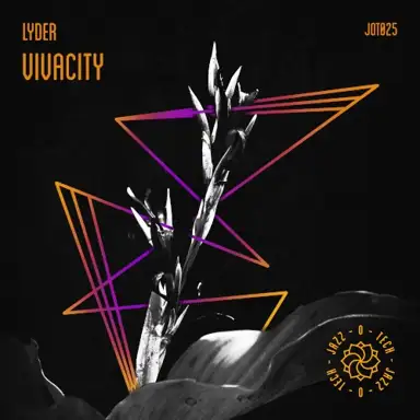 Vivacity