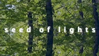 seed of lights