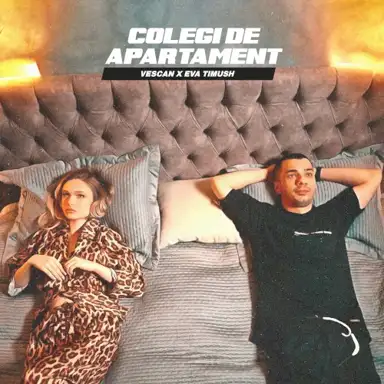 Colegi de apartament