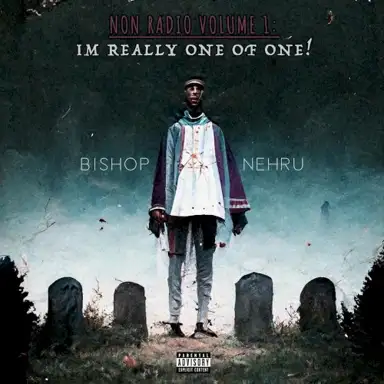 NON Radio: Volume 1 (Im Really One of One!)