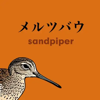 Sandpiper