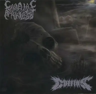 Cardiac Arrest / Coffins