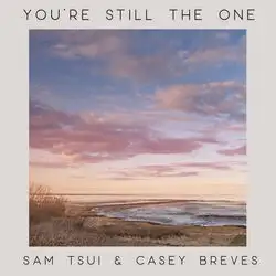 You're Still the One (Piano Acoustic)
