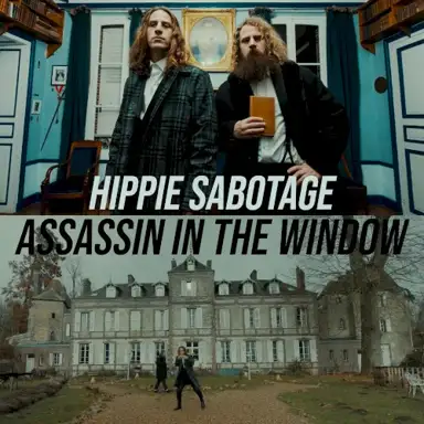 Assassin In the Window