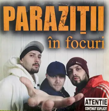 în focuri