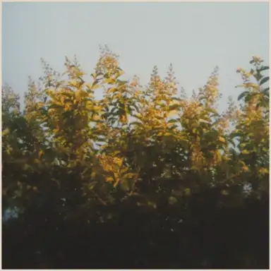 Mountain Interval