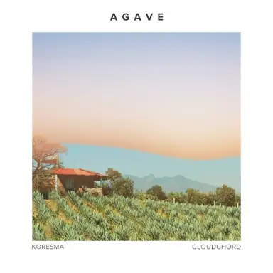 Agave