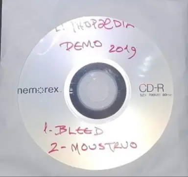 Demo 2019
