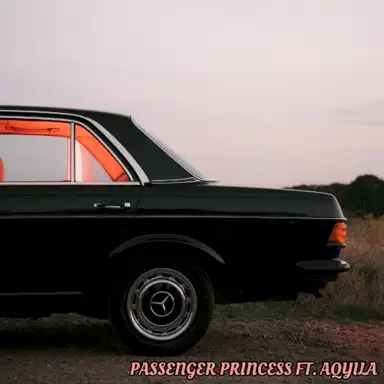 Passenger Princess (remix)
