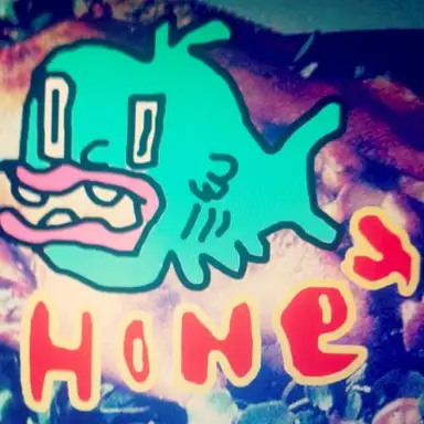 Honey Chicken