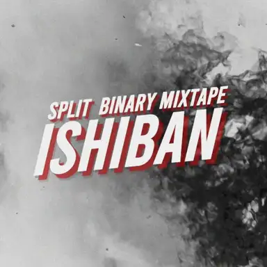 Split Binary Mixtape 5