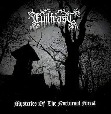 Mysteries of the Nocturnal Forest