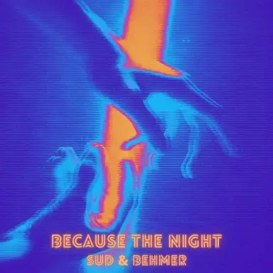 Because the Night