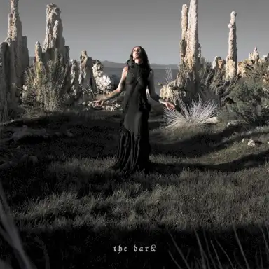 The Dark