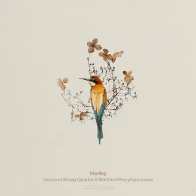 Starling