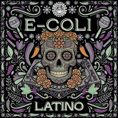 Latino