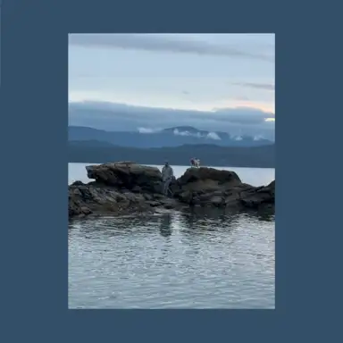 Dog on the Rock