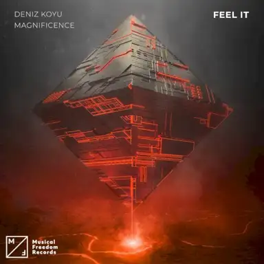 Feel It
