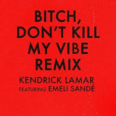 Bitch, Don’t Kill My Vibe (remix)