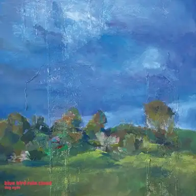 blue bird rain cloud