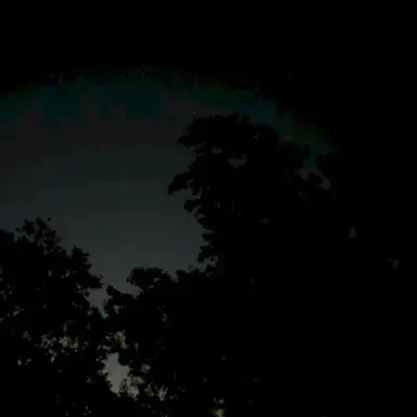 Melatonin