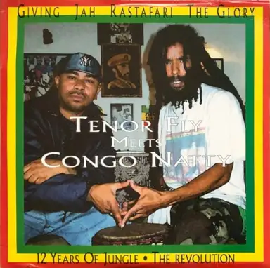 12 Years of Jungle: The Revolution
