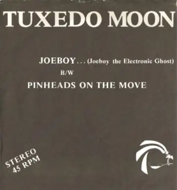 Joeboy...(Joeboy The Electronic Ghost)
