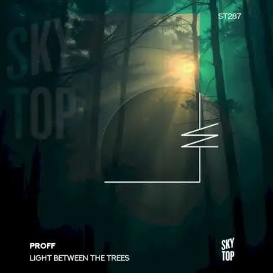 Light Between the Trees