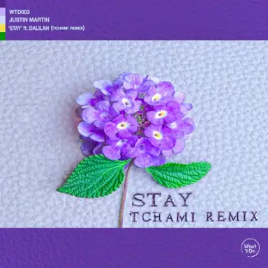 Stay (Tchami remix)
