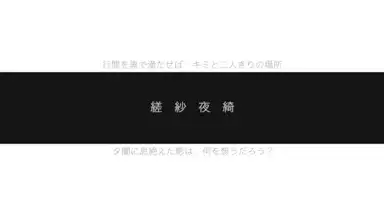 縒紗夜綺
