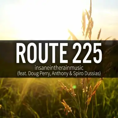 Route 225