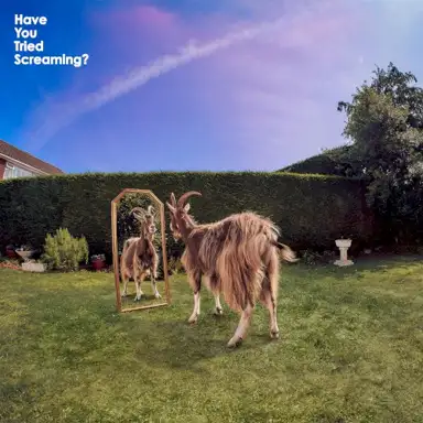 Have You Tried Screaming?